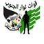 قوات ثوار الجنوب