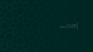 وزارة المالية.jpg