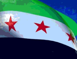 المجلس الثوري في قريتي جبالاومعرتماتر.jpg