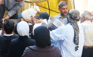 محمود مرشد المدلل 5.jpg