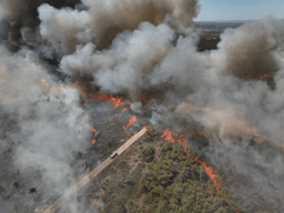 حرائق في ريف اللاذقية الشمالي.webp