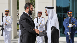 الشرع وبن زايد.jpg